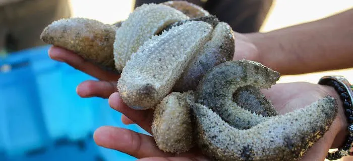 Hatchery facility view 1